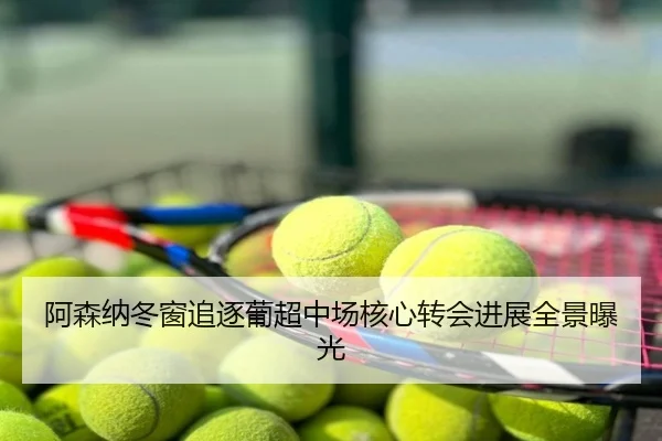 阿森纳冬窗追逐葡超中场核心转会进展全景曝光