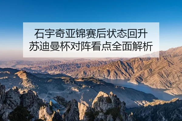 石宇奇亚锦赛后状态回升 苏迪曼杯对阵看点全面解析